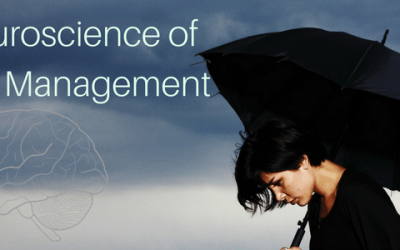 Neuroscience of Conflict Management