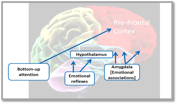 brain-comm